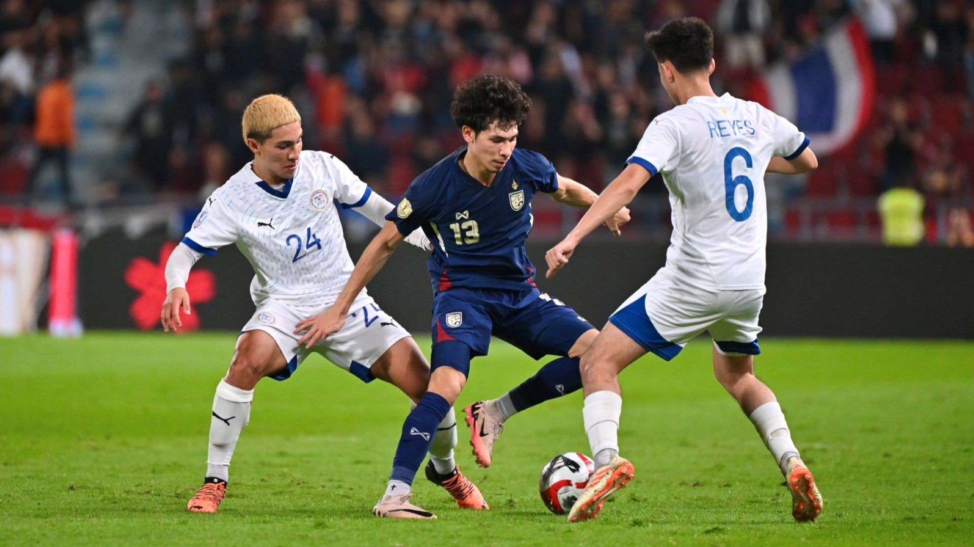 不仅贡献了 不仅贡献了