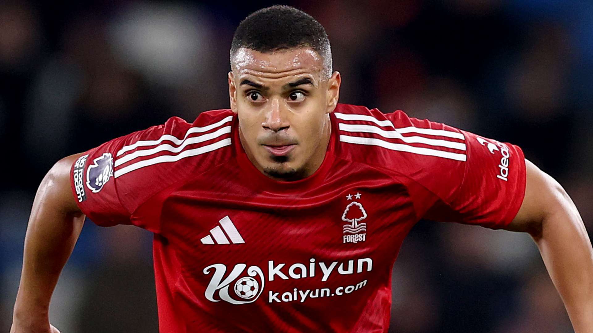 的强硬对抗 的强硬对抗